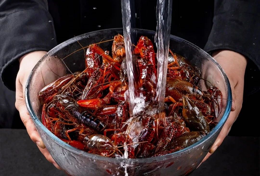 紧急｜寻找 1000 位公安县小龙虾品牌推广大使